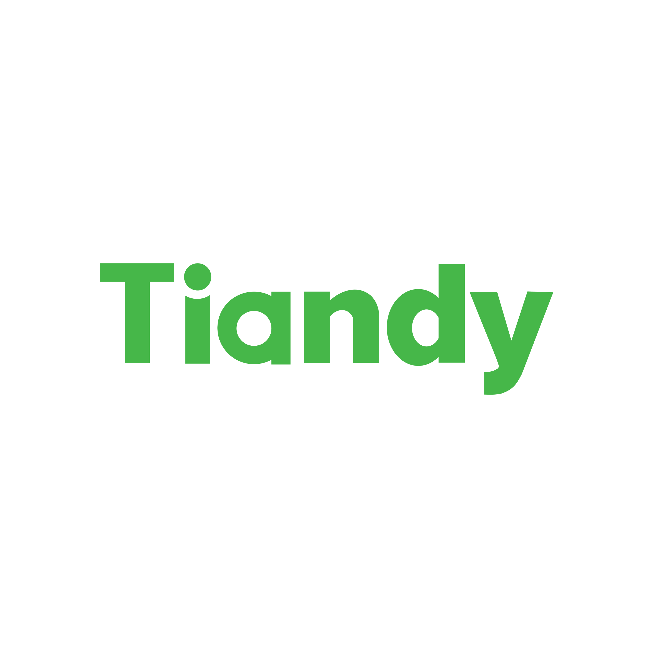 Tiandy logo